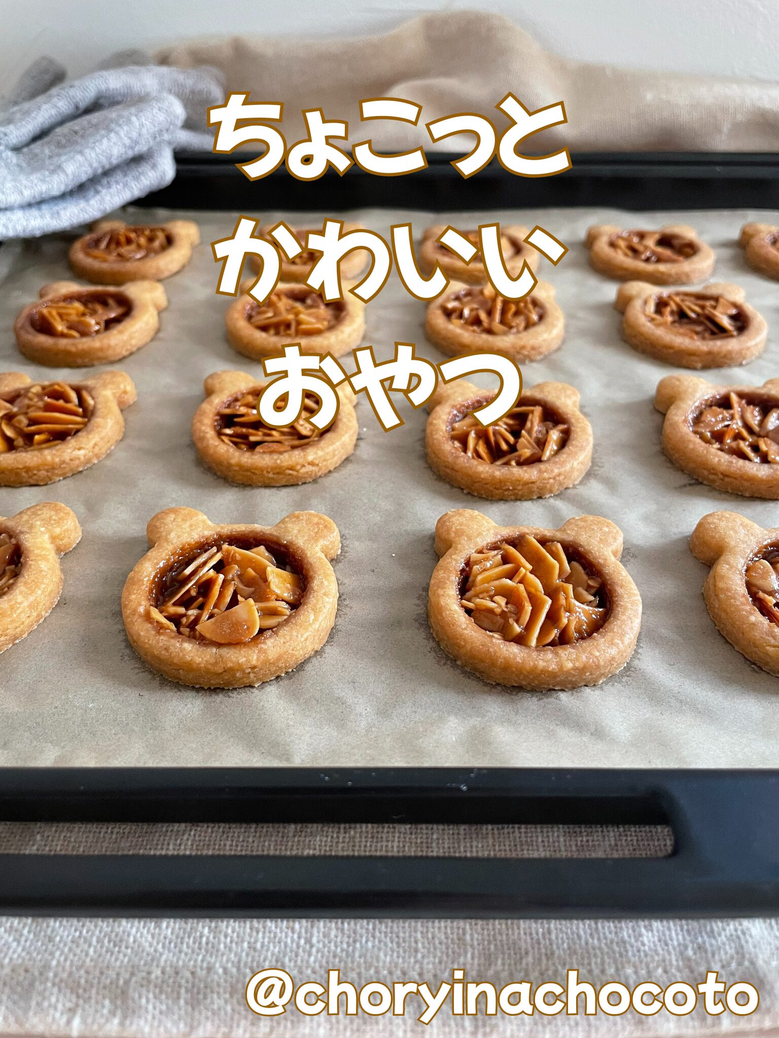 チョリーナ　チョコ島