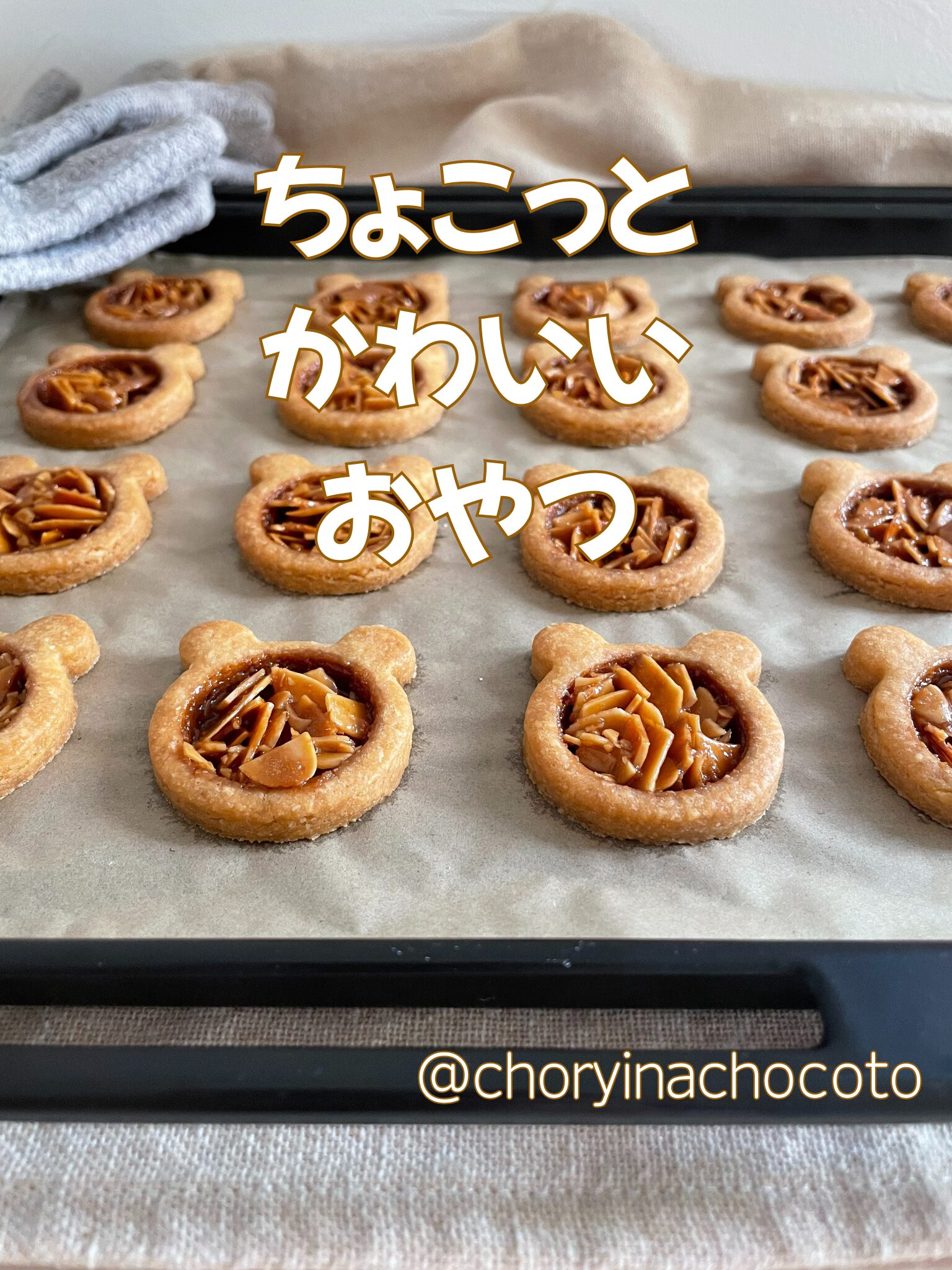 チョリーナ　チョコ島
